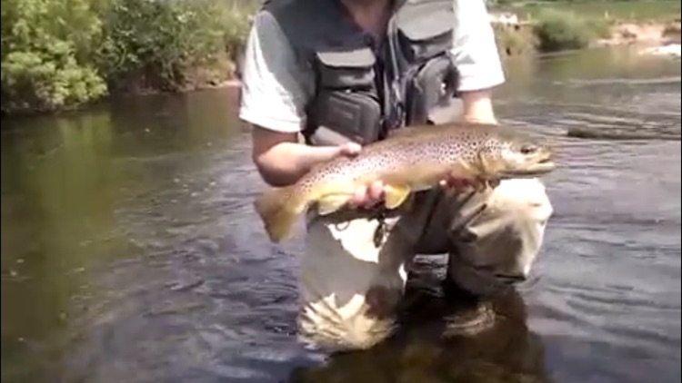River Fishing screenshot-4