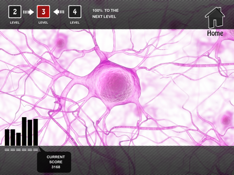 Brain Activity HD screenshot 4