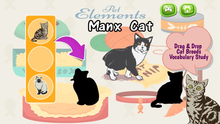 Cats And Kittens Shadow Matching Game