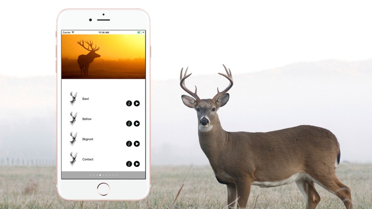Hunting Calls Full screenshot-3