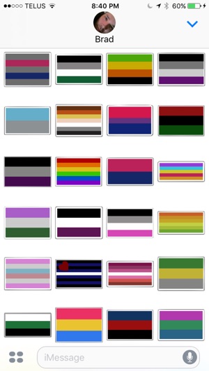 PrideNotPrejudice Solidarity Flags