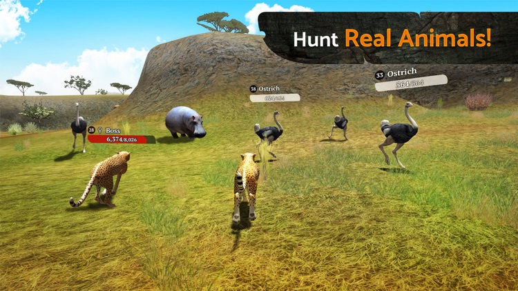 The Cheetah: Online RPG Simulator