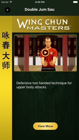 Wing Chun Masters 2 - HD(圖3)-速報App