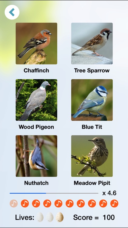 Chirp! Bird Songs & Calls of Britain and Europe + screenshot-3