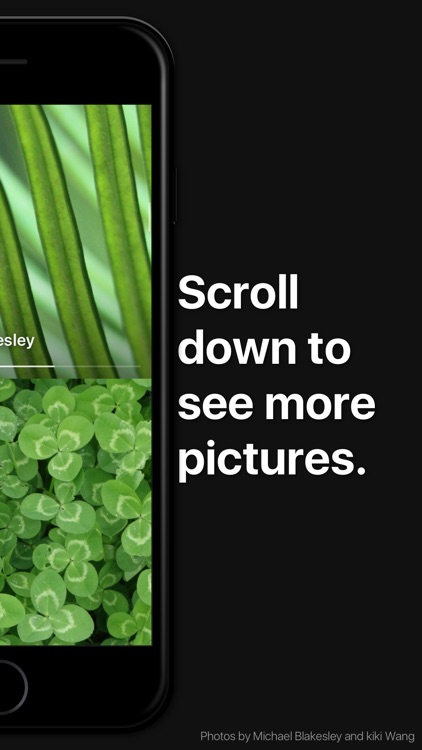 Background – beautiful photos from Unsplash