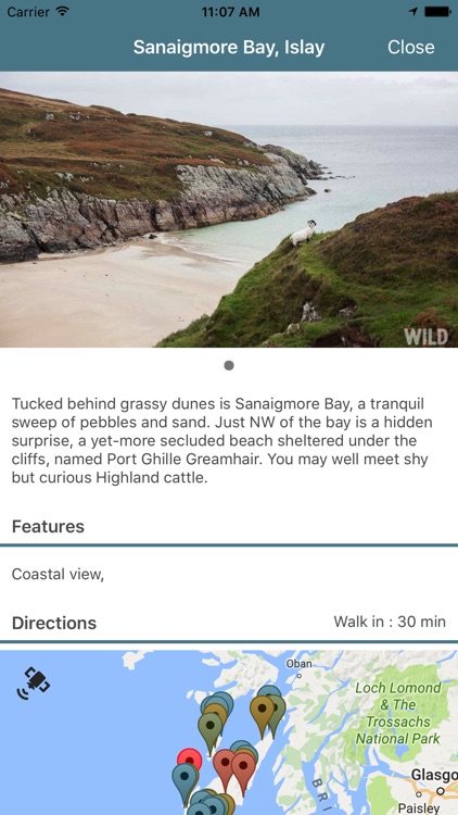 Wild Guide Scotland