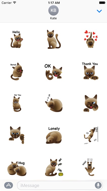 Adorable Siamese Cat Sticker