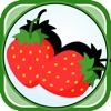 Icon Fruits And Vegetable Vocabulary Puzzle Games