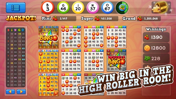 Bingo Pop screenshot-0