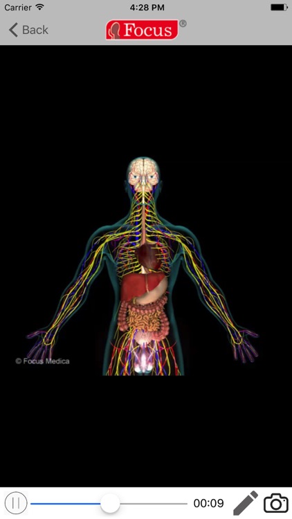 Animated Essential Atlas of Anatomy and Physiology screenshot-3