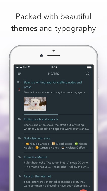 Bear screenshot-3