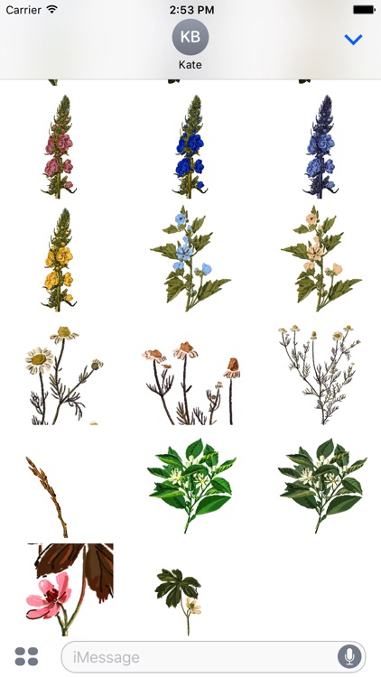 Botanical Flowers Stickers screenshot-4
