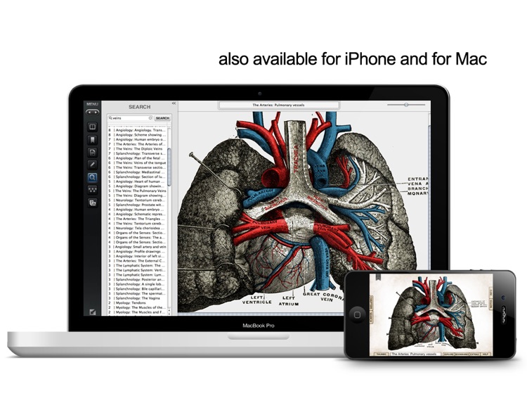 Gray's Anatomy Premium for iPad screenshot-4