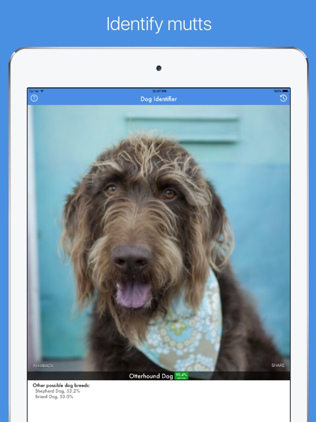 dog breed id app