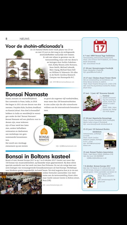 Bonsai Focus NL