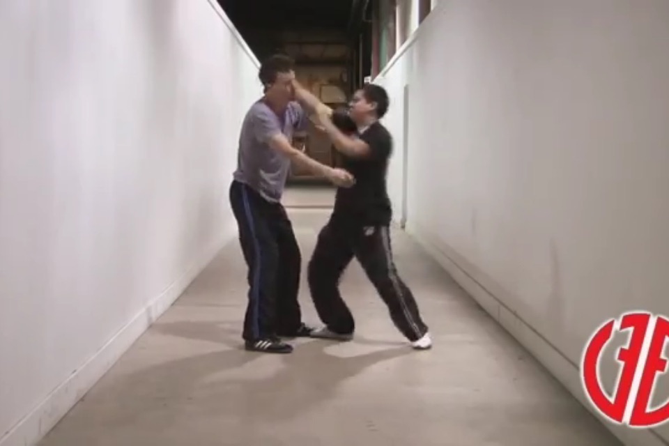 Krav Maga Master Class screenshot 3