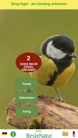 Game screenshot Singvögel am Gesang erkennen apk
