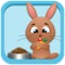 Rabbit & Bunny Nutrition Calculator - Rabbits, Bunnies, Mice, Hamsters, Guinea-Pigs, Ferrets, Chinchillas, Gerbils Health Guide