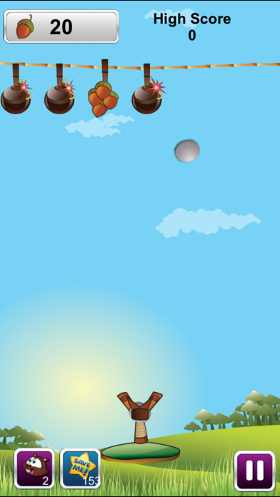 Go Nuts Game screenshot 4