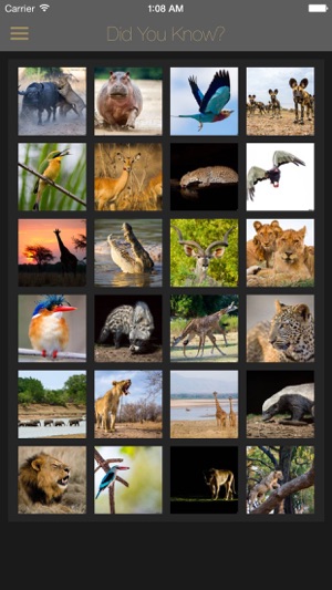 Did you know: African Wildlife(圖1)-速報App