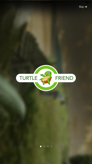 Turtle Friend(圖1)-速報App