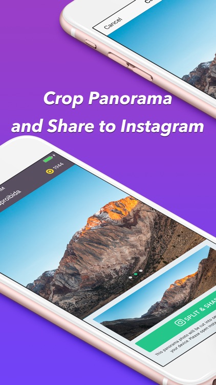 Tailor Panorama to Get Views & Likes for Instagram