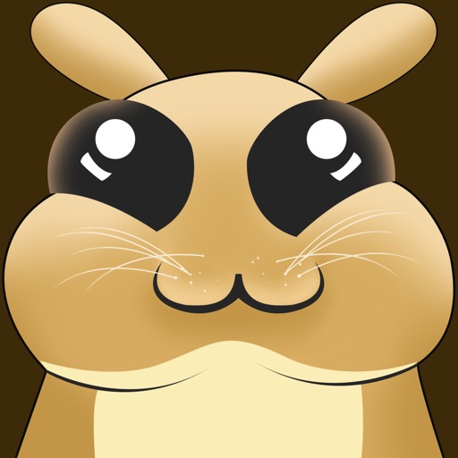 Crazy Hamster Fall Down Pro icon