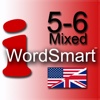 iWordSmart 5-6 Mixed Letter Edition US
