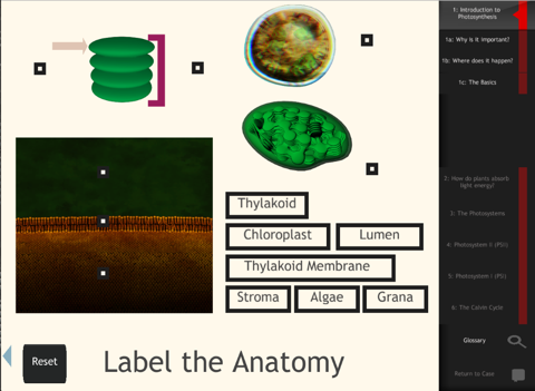 IC Photosynthesis screenshot 4