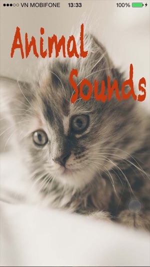 Animal Sounds - Tiger,Jaguar,Monster,Pig Squeal,Wo(圖1)-速報App