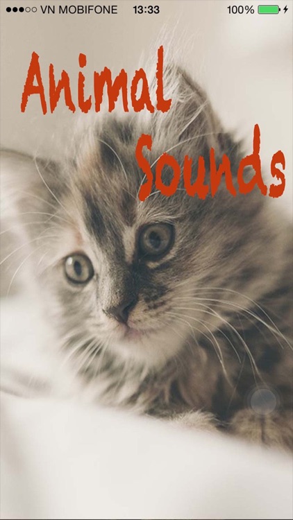 Animal Sounds - Tiger,Jaguar,Monster,Pig Squeal,Wo