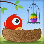 Cute Bird  Eggs