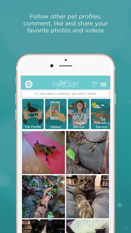 myPetShare - Pet Social Media