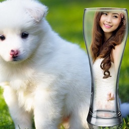 InstaMag - Cute Pet Camera