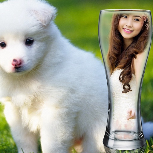 InstaMag - Cute Pet Camera