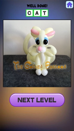 Balloon Animals Puzzle(圖3)-速報App