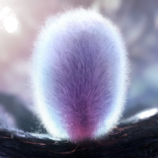 Furry Flower iOS App