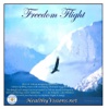 Freedom Flight for iPad