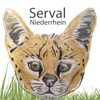 Serval-Niederrhein
