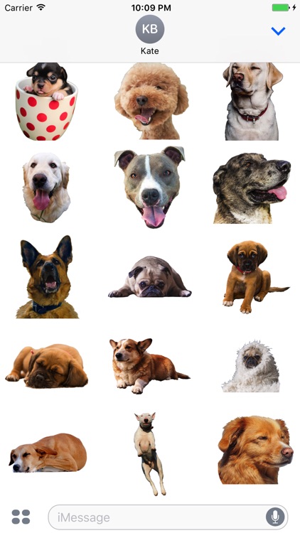 Dogs evolution screenshot-3