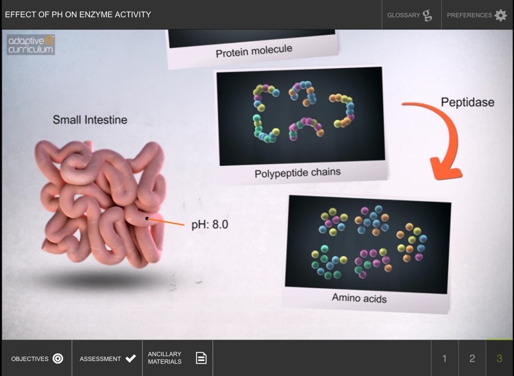 Factors Affecting Enzyme Act 2 screenshot-3