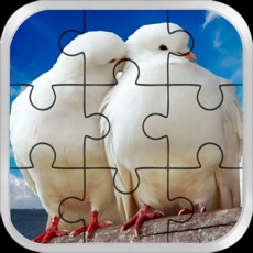 Activities of Love Bird Jigsaw Puzzle paradise : Train The Brain