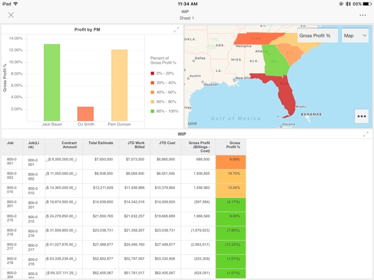 ProNovos MobileView for iPad