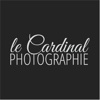 Le Cardinal Photographie