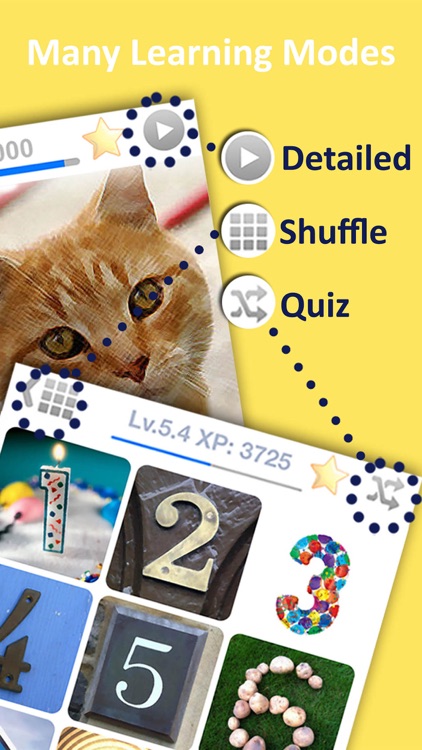 LETS Travel Brazil! Brazilian Phrase Guide Book screenshot-3