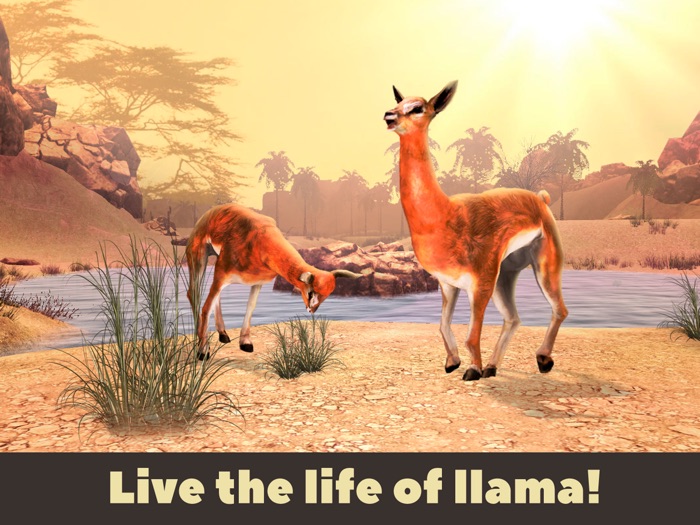 Llama Survival Simulator 3D