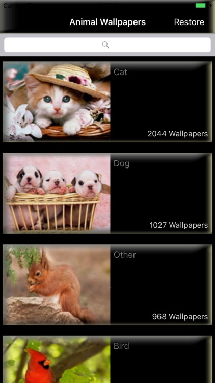 Animal Pictures - Animal Wallpaper and Backgrounds