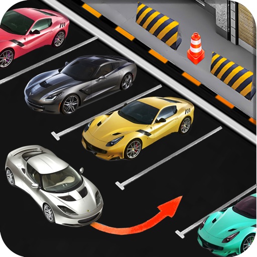 Real Car 3D Parking Icon