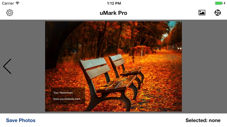 uMark Photo Watermarker Pro