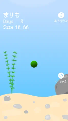 Game screenshot まりも育成！　放置系暇つぶしアプリ apk